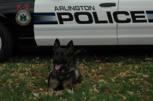 Arlington Police K-9